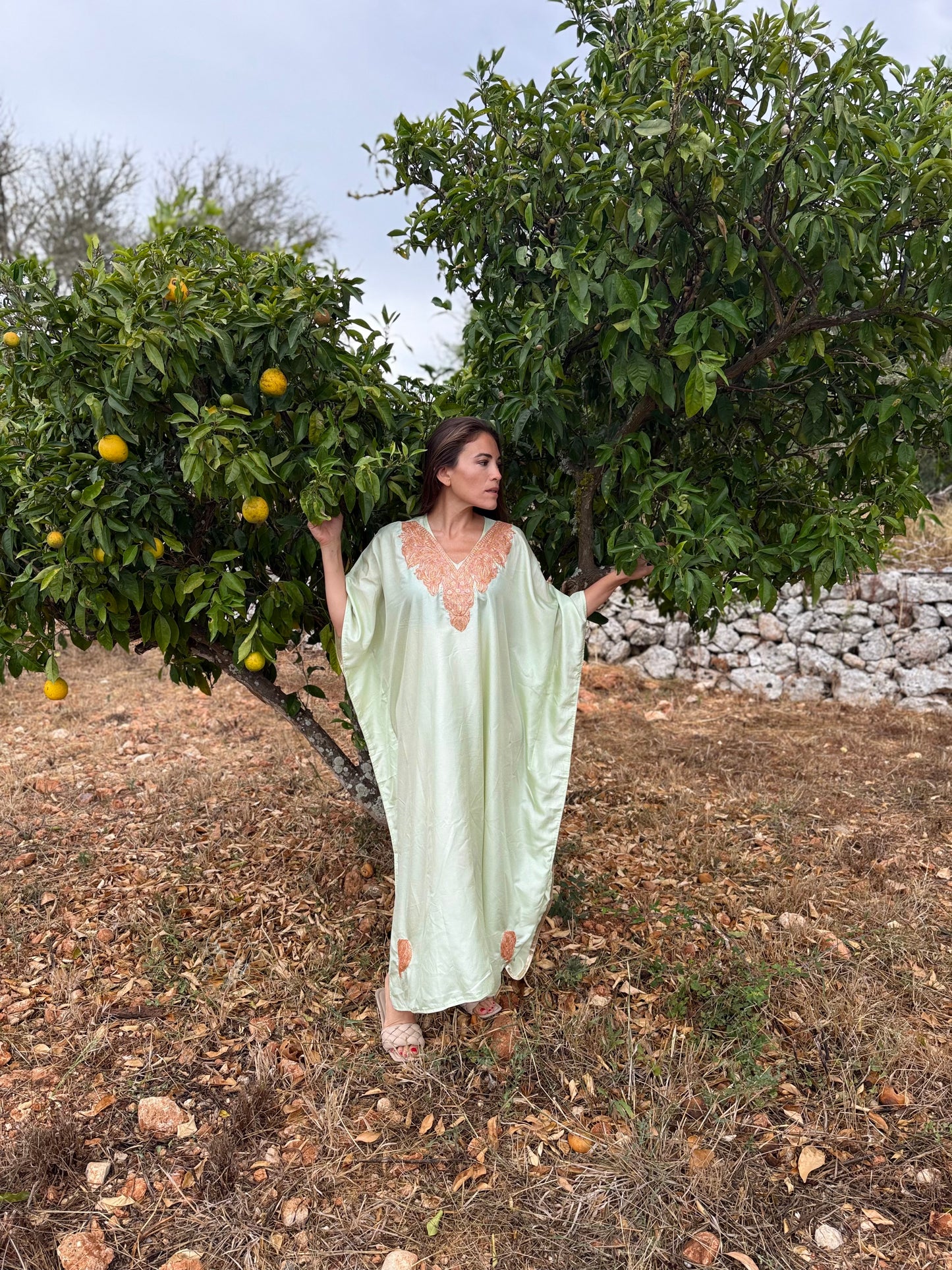 RIMSHA
